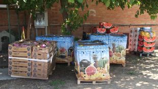 fruita, verdura, il·legal