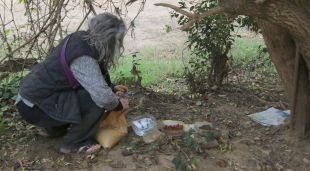 Una alimentadors de gats a la Bisbal d'Empordà