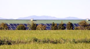 Imatge de "l'horta solar" que hi ha al terme municipal d'Ordis