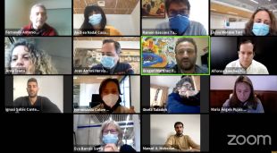 Un moment del ple telemàtic d'avui