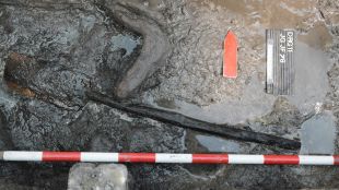 pala, fusta, neolitic