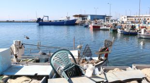 El port pesquer de Roses, aquest matí