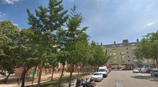 Arbres de la plaça de Sant Ponç que rebran el tractament herbicida les properes setmanes