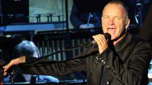 sting, concert