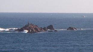 illes, formigues