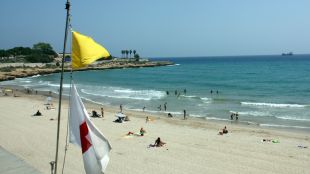bandera, groga, platja, tarragona