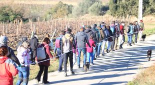Els veïns d'Espolla que han participat en la caminada pujant al turó amb la vara que simula una pala de l'aerogenerador