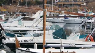 port, esportiu, roses