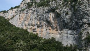 cova, bisbe, sadernes