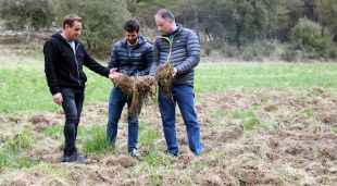 Representants d'Unió de Pagesos en un camp del Berguedà completament furgat pel porc senglar
