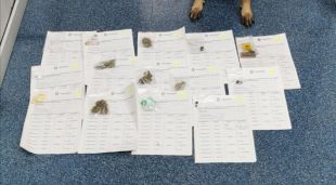 La droga intervinguda per la unitat canina