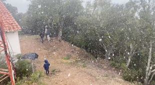 La neu caient al massís de Cadiretes