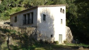 molí, frigola
