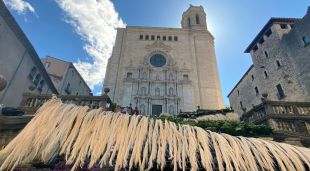 Les escales de la catedral de Girona convertides en un mar per Temps de Flors