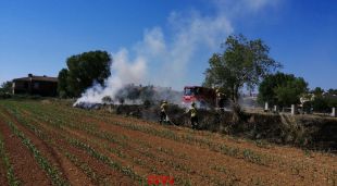 Els Bombers apagant l'incendi als marges d'un carrer a la Marca de l'Ham