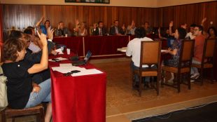 moció, ple, figueres, immersió