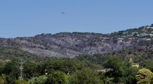 Zona cremada en el recent incendi a Castell d'Aro (arxiu)