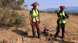 Dos presos que actualment estan en règim obert i es formen en gestió forestal al Puig de les Basses
