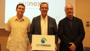 pirinexus