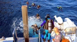Submarinistes saltant del vaixell per fer una immersió