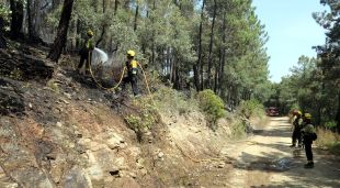 Pla general dels Bombers remullant la zona afectada per l'incendi de les Gavarres