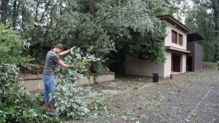tempesta, pluges, santapau, roura, arbres, setembre