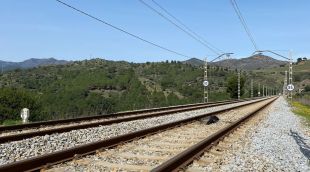 Tram de catenària que serà objecte d'obra