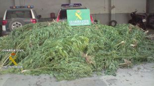 marihuana, detenció, masia, Cistella