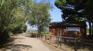 La caseta de fusta de l'espai protegit de les basses d'en Coll
