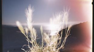 Una de les fotografies de Thomas Mailaender que serà exposada