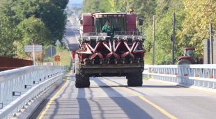 Una recol·lectora creua pel pont de Verges trepitjant el carril contrari per la falta d'espai