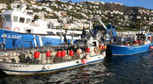 Dues embarcacions del port de Roses que s'inclouen al cens