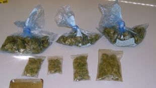 marihuana, decomissada, escola, girona