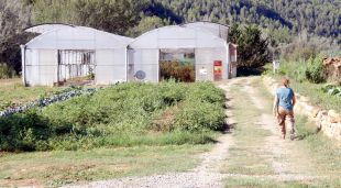 Una dona en uns camps de l'Escola Agrària de Manresa