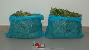 droga, cotxe, joves, palamós