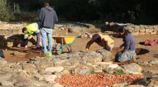 Pla general dels arqueòlegs treballant en la nova campanya d'excavacions de Pontós