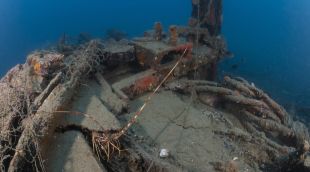 Derelicte d'un baixell al fons marí de Roses