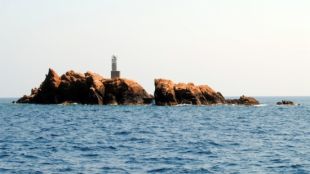 illes, formigues