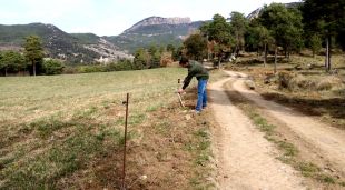 El ramader berguedà Martí Marginet arregla uns fils elèctrics que ha fet malbé el cérvol