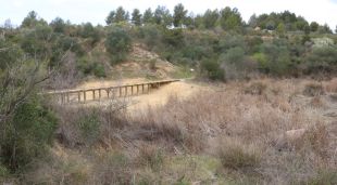 La passera de fusta que s'hi ha instal·lat per fer-lo més accessible
