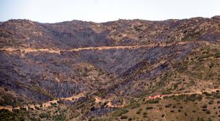 Zona afectada per l'incendi a Portbou i dotacions dels Bombers en una pista