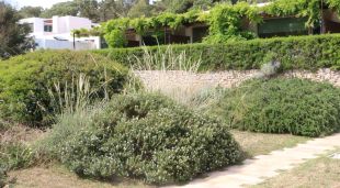 Un fragment del jardí sostenible de l'Hostal Empúries