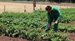 En Jalil durant una de les pràctiques en un hort a l'INS la Garrotxa