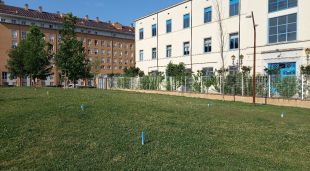 Una mostra que s'ha instal·lat al Jardí de la Pau
