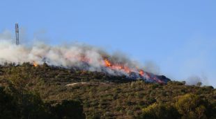 Les flames, vistes aquest matí pels veïns de Portbou