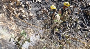 Dos bombers acaben de remulant una zona
