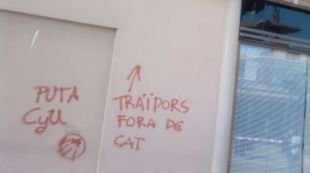 seu, CiU, pintades, Olot