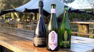 Les tres varietats de sidra Mooma que han estat premiades al Saló Internacional de les Sidres de Gala d’Astúries