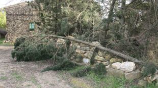 turisme rural, temporal, afectacions