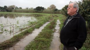 camps, inundacions, pluges, novembre